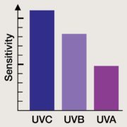 Large bande UV